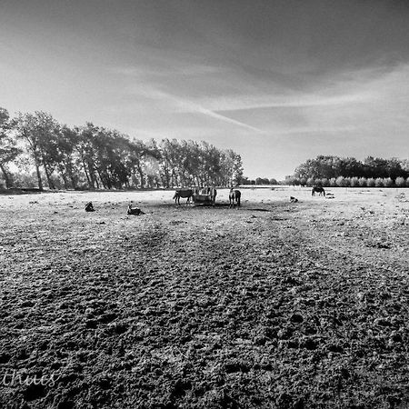 Bed & Breakfast De Bimd Hoeve De Bus Eksteriør bilde